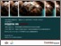 [thumbnail of donia.pdf]