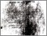 [thumbnail of Apstrakt br. 47.pdf]