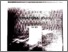 [thumbnail of Apstrakt br. 001.pdf]