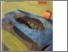 [thumbnail of AutoCAD  2010.pdf]